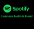 Discover Spotify Lossless Audio – Hear What You’ve Been Missing